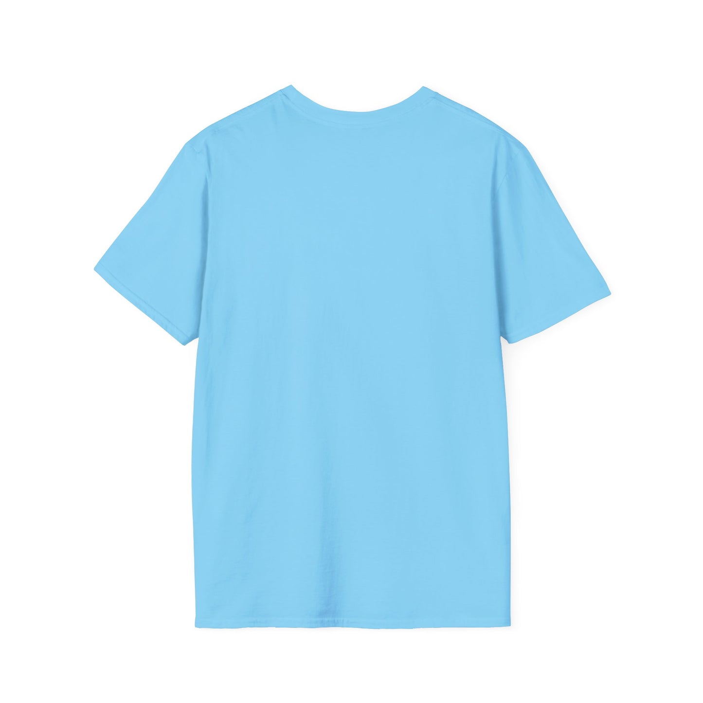 Blank unisex softstyle tee