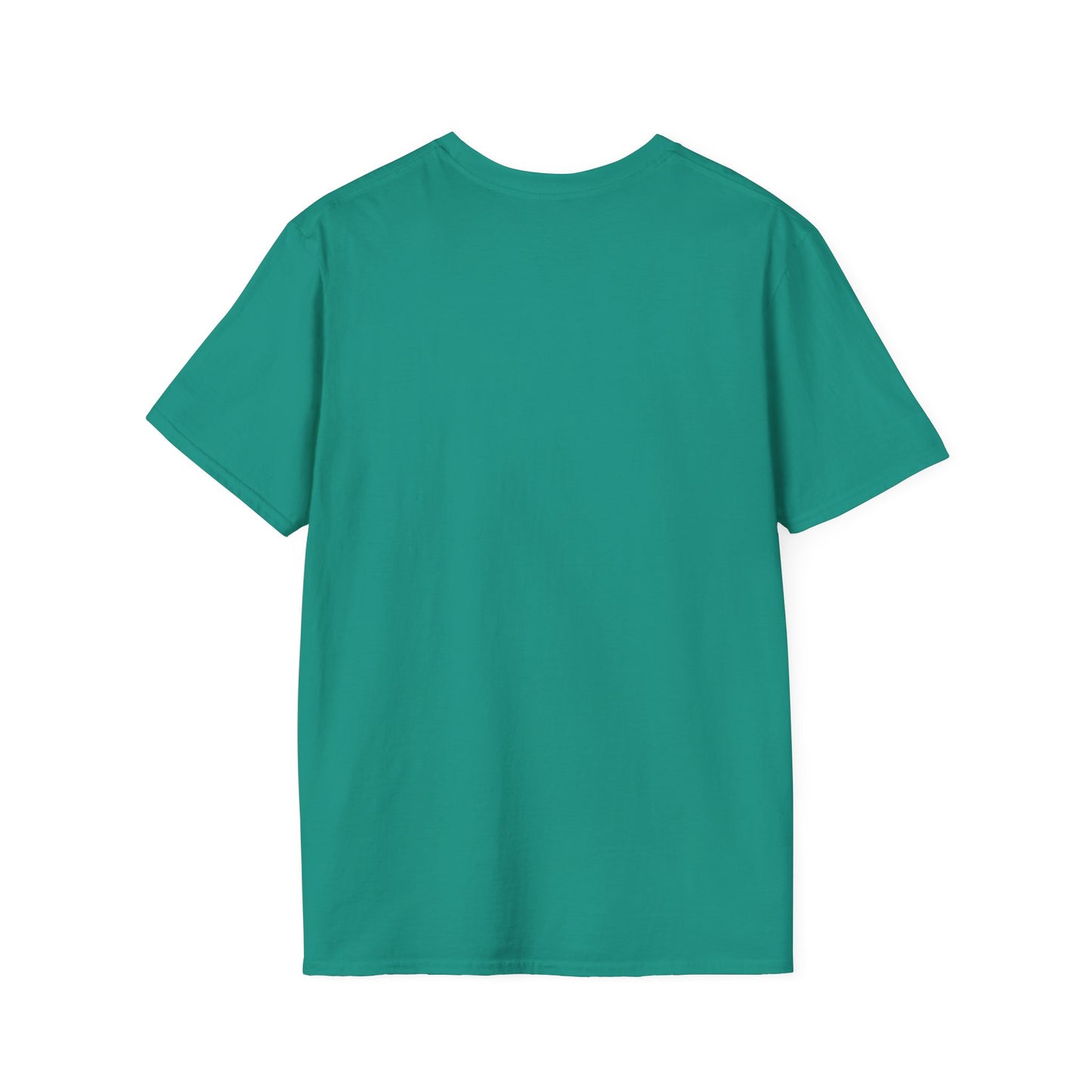 Blank unisex softstyle tee