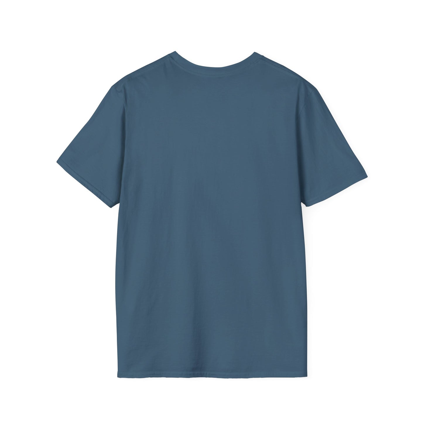 Blank unisex softstyle tee