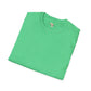 Blank unisex softstyle tee
