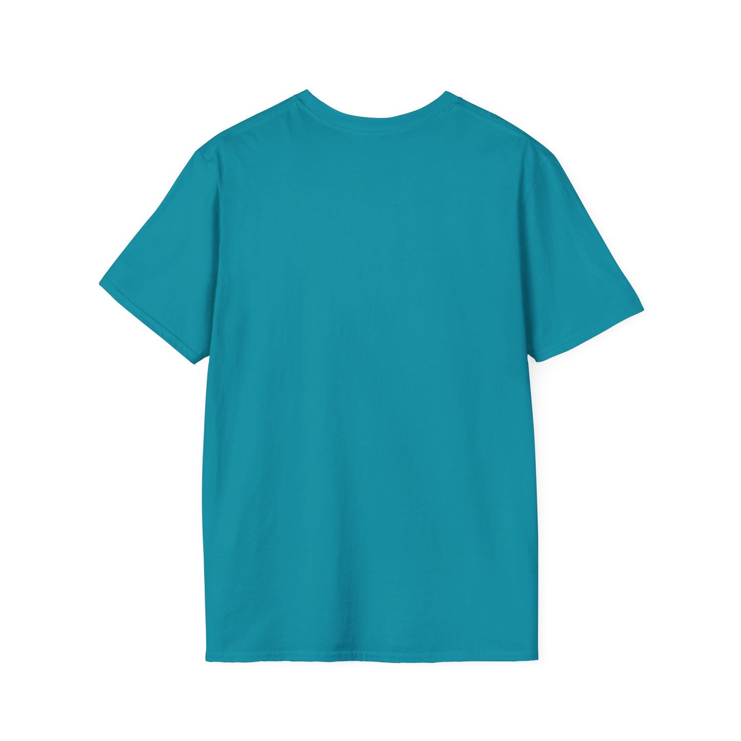 Blank unisex softstyle tee